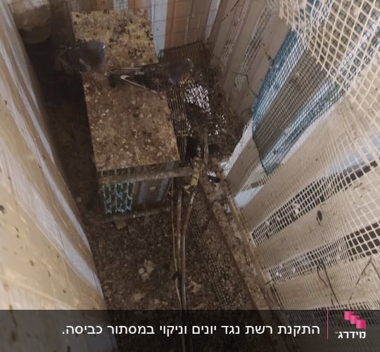 לפני. 